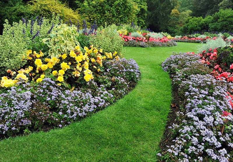 Održavanje zelenih površina - Bio Plant Age - Radovi na zašt