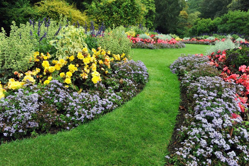 Održavanje zelenih površina  - Bio Plant Age - Radovi na zaštiti prirode