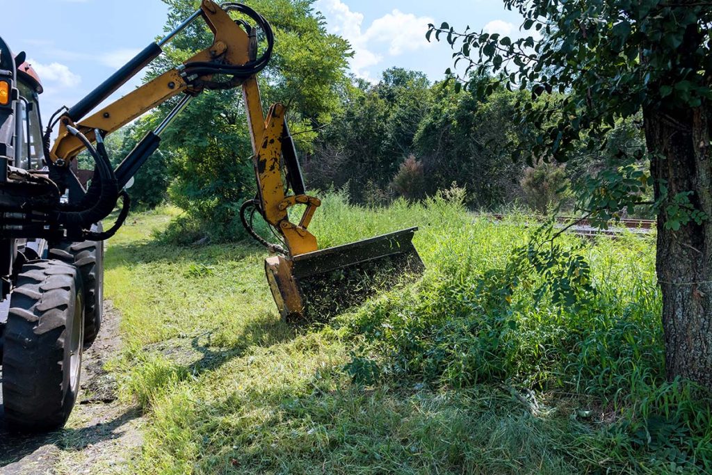Košenje - Bio Plant Age - Radovi na zaštiti prirode