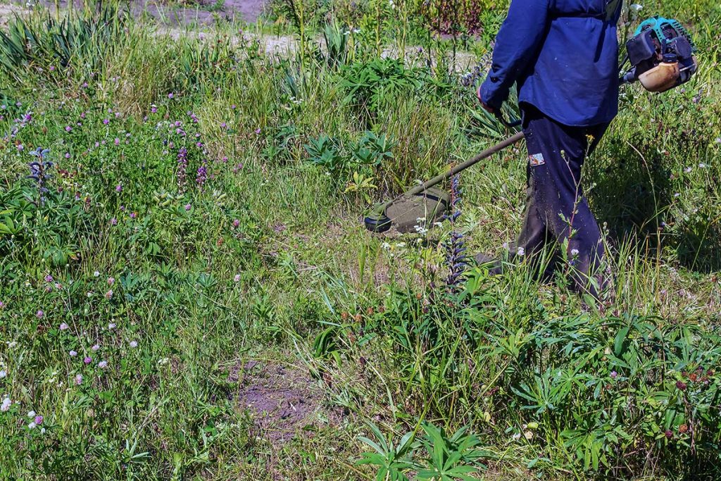 Tarupiranje i krčenje šiblja - Bio Plant Age - Radovi na zašt