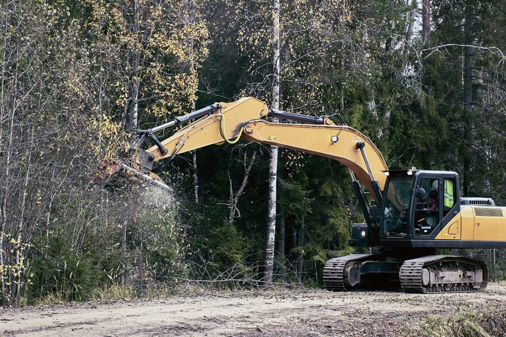 Krčenje šuma za auto-put - Bio Plant Age - Radovi na zaštiti