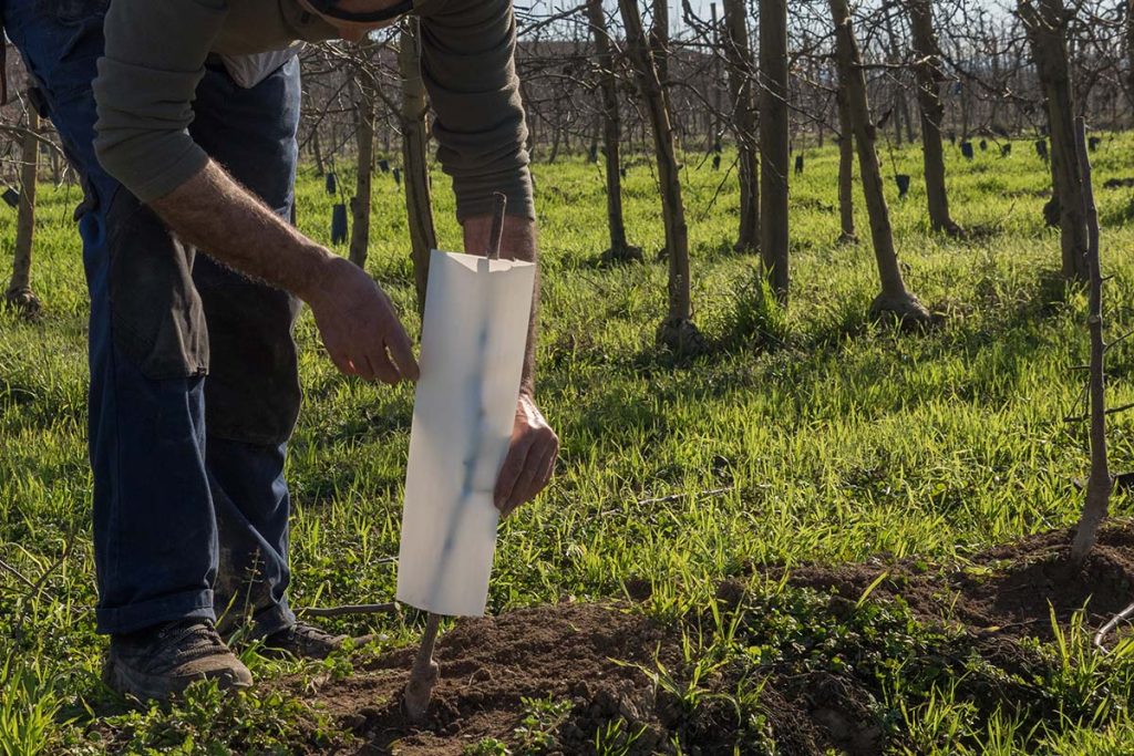 Pošumljavanje - Bio Plant Age - Radovi na zaštiti prirode